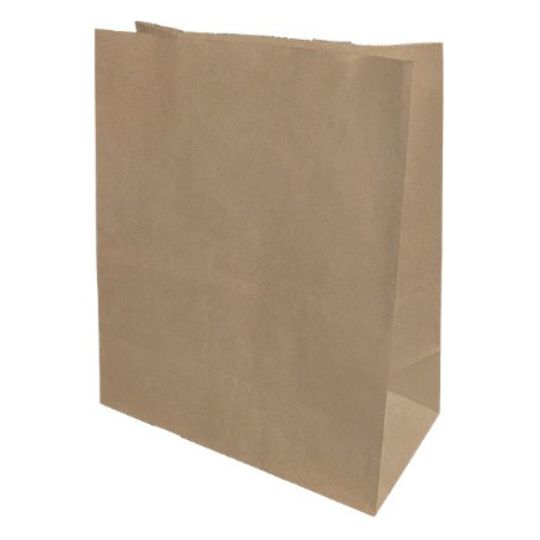 Brown Grab Bag Medium (250X160X400Mm 80GSM ) X250Pcs